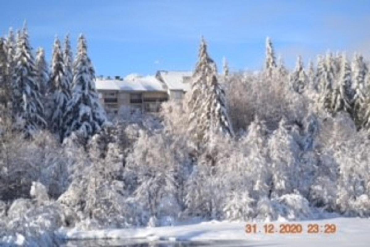 Lo Vedelier D'Aubrac Laguiole Exterior foto