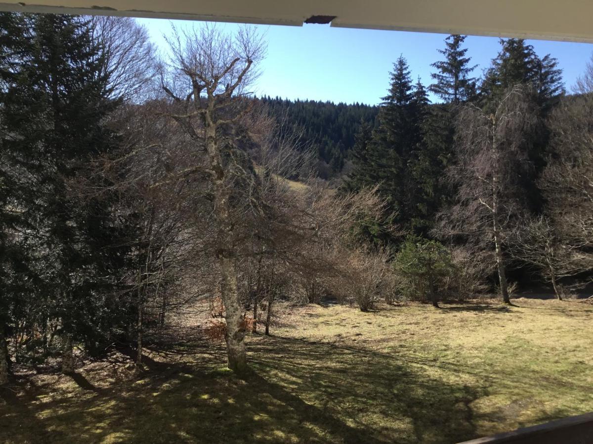 Lo Vedelier D'Aubrac Laguiole Exterior foto