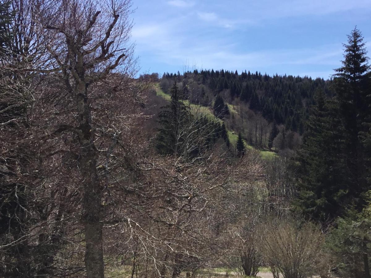 Lo Vedelier D'Aubrac Laguiole Exterior foto