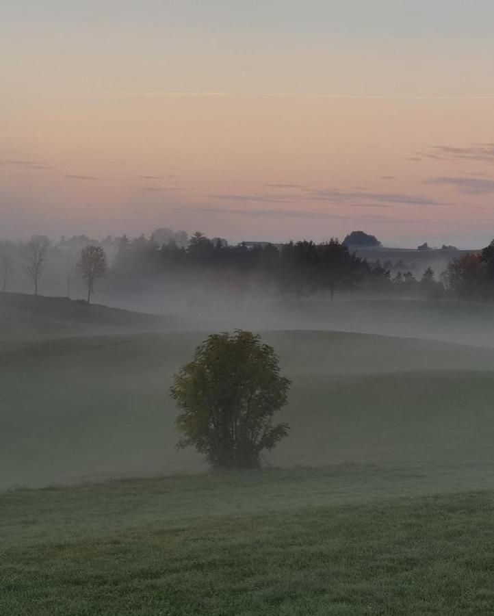 Lo Vedelier D'Aubrac Laguiole Exterior foto